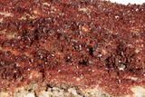 Plate of Ruby Red Vanadinite Crystals - Huge #196366-5
